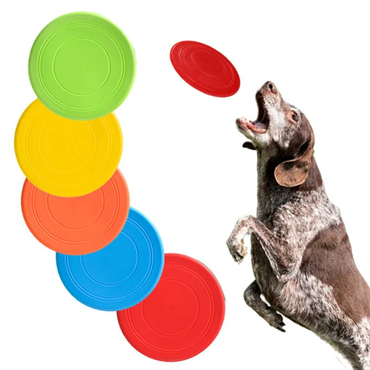 Floating Fun Dog Frisbee