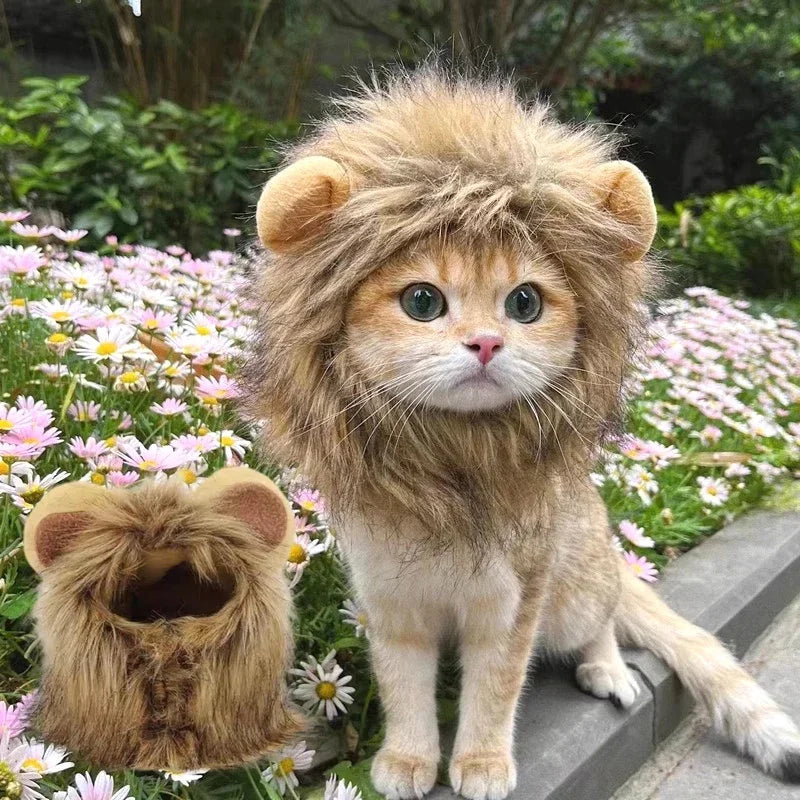 Lion Mane Cat Costume Hat