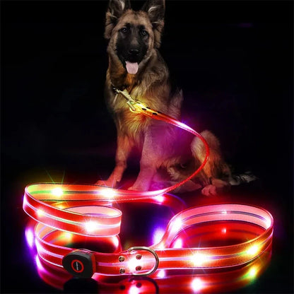 GlowSafe Durable  LED Dog Leash & Collar