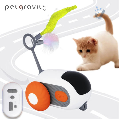 Purrfect Play Car for Cats