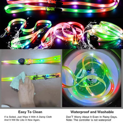 GlowSafe Durable  LED Dog Leash & Collar