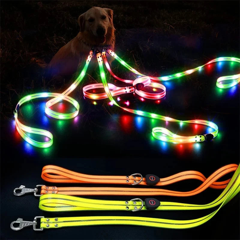 GlowSafe Durable  LED Dog Leash & Collar