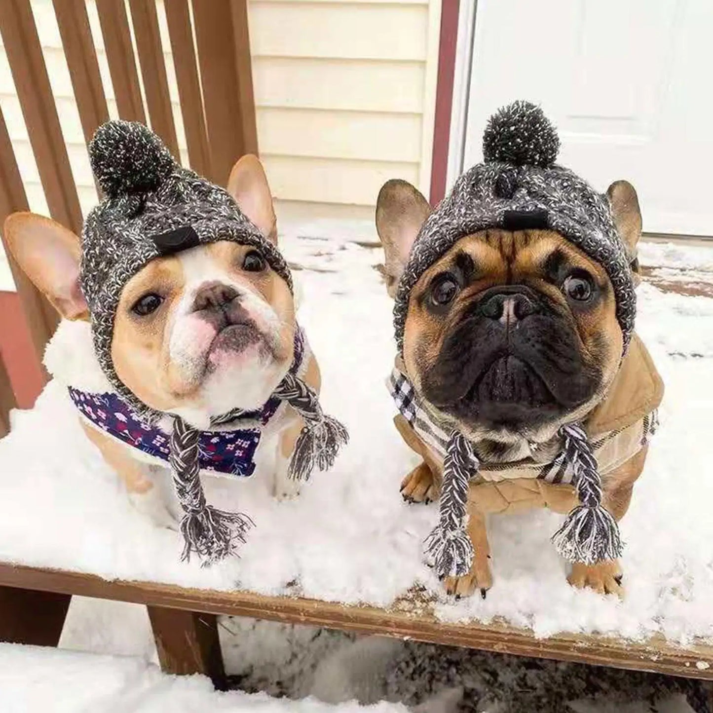 Cozy Paws Winter Dog Hat