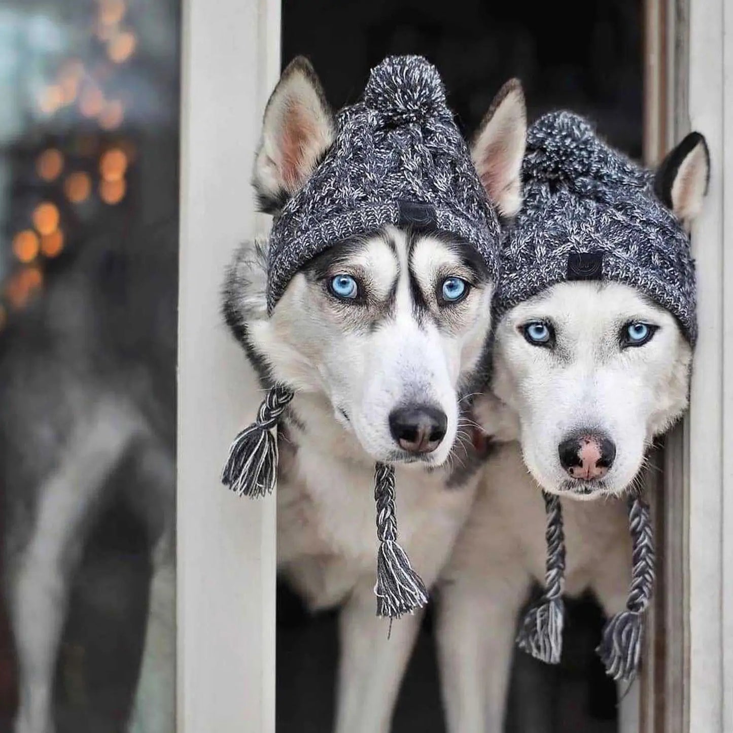 Cozy Paws Winter Dog Hat