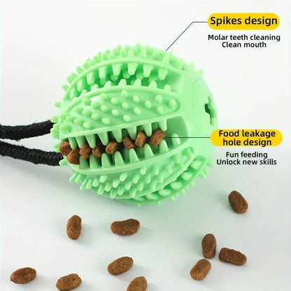 Self Play Suction Toy