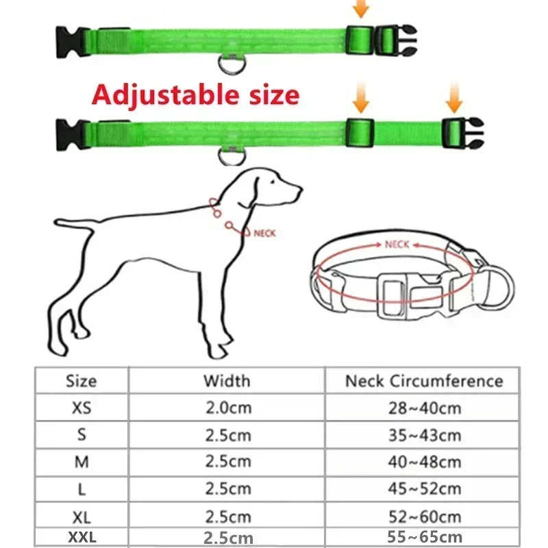 NightSafe LED Dog Collar