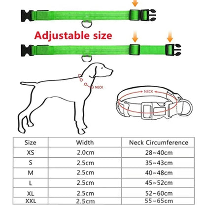 NightSafe LED Dog Collar