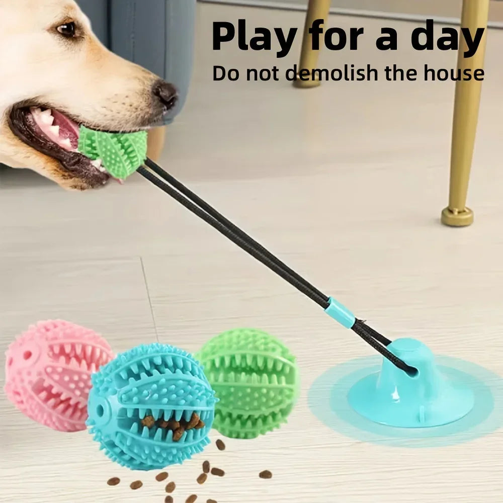 Self Play Suction Toy