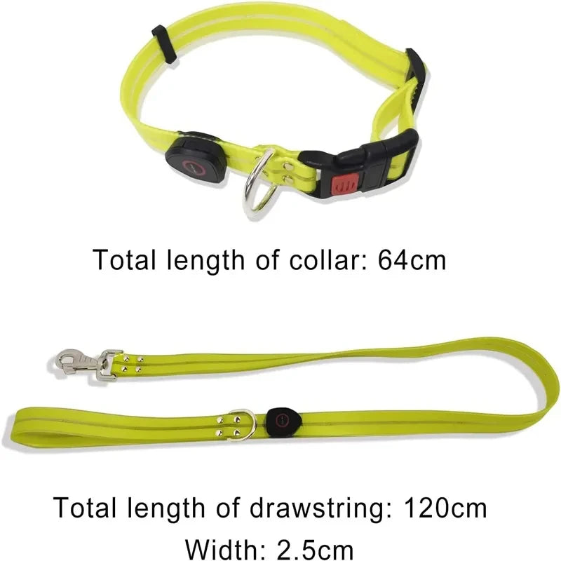 GlowSafe Durable  LED Dog Leash & Collar