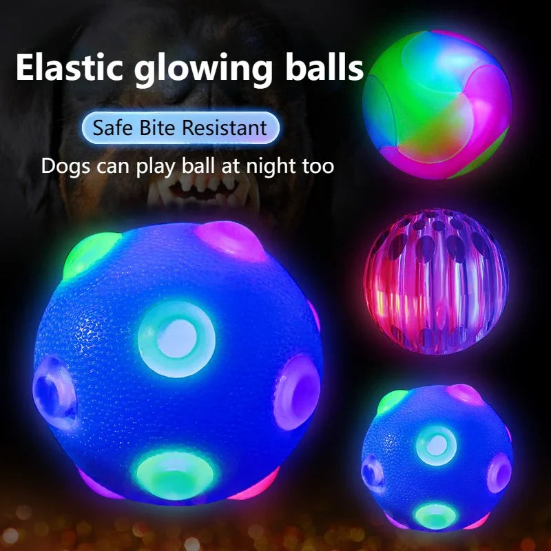 Disco Glow Pet Ball