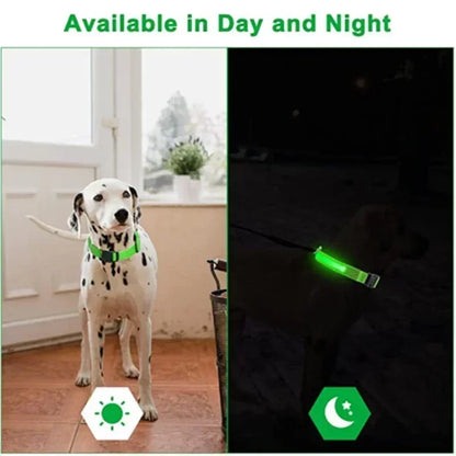 NightSafe LED Dog Collar