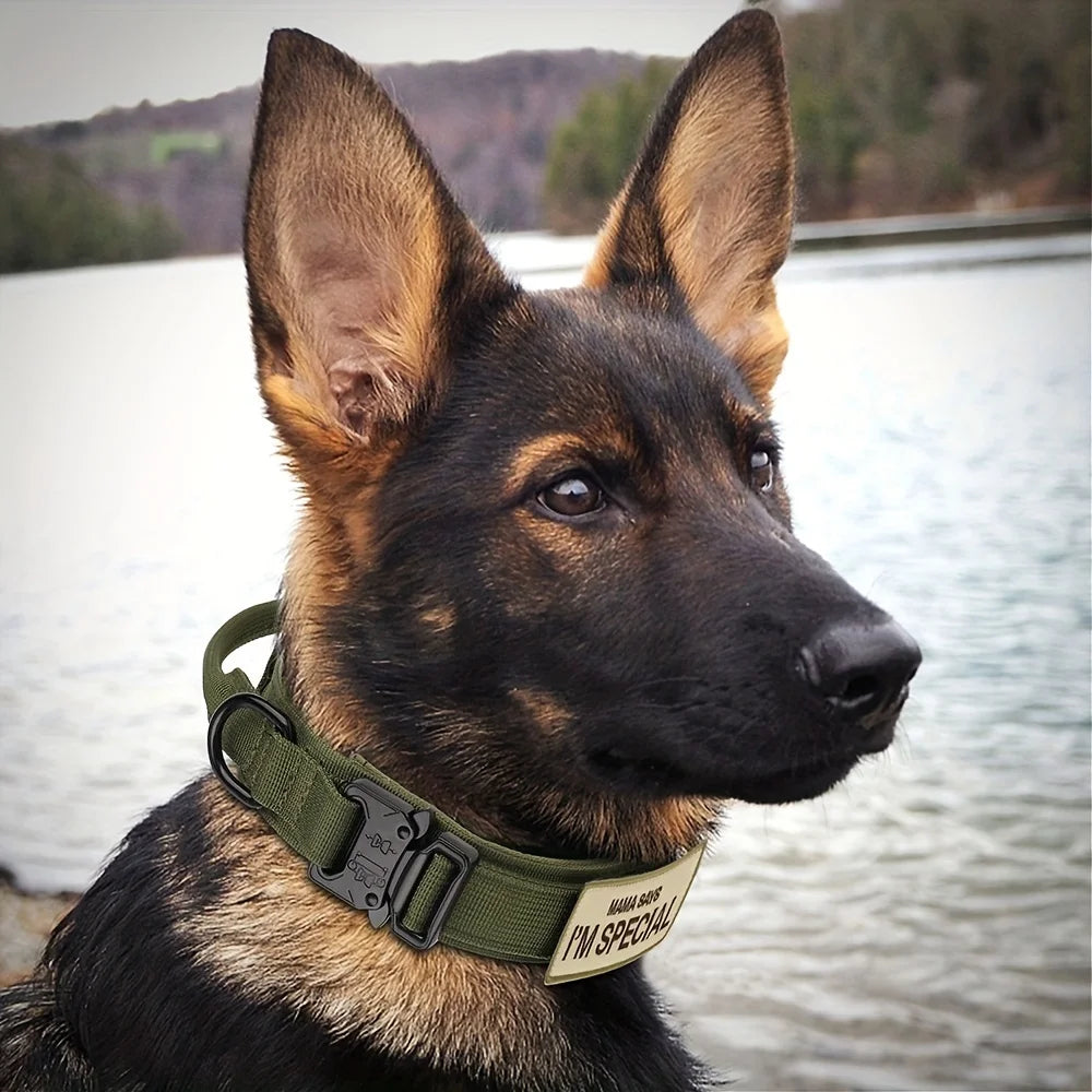 Comfort Grip Tactical Dog Collar