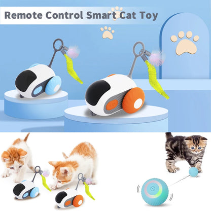 Purrfect Play Car for Cats