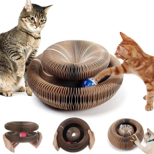 Magic Paws Cat Scratcher Toy