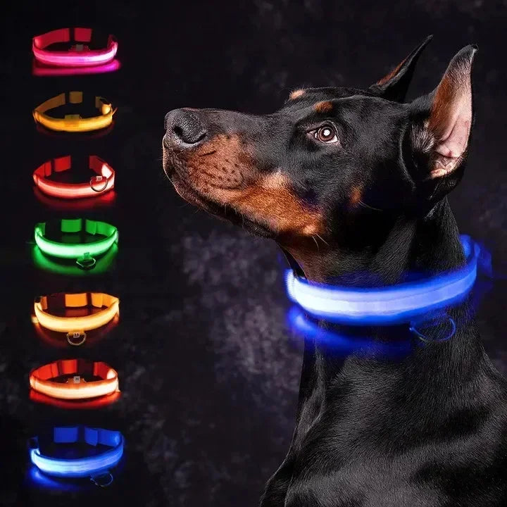 NightSafe LED Dog Collar