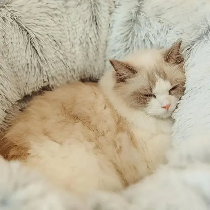 Cozy Tunnel Cat Bed Playground