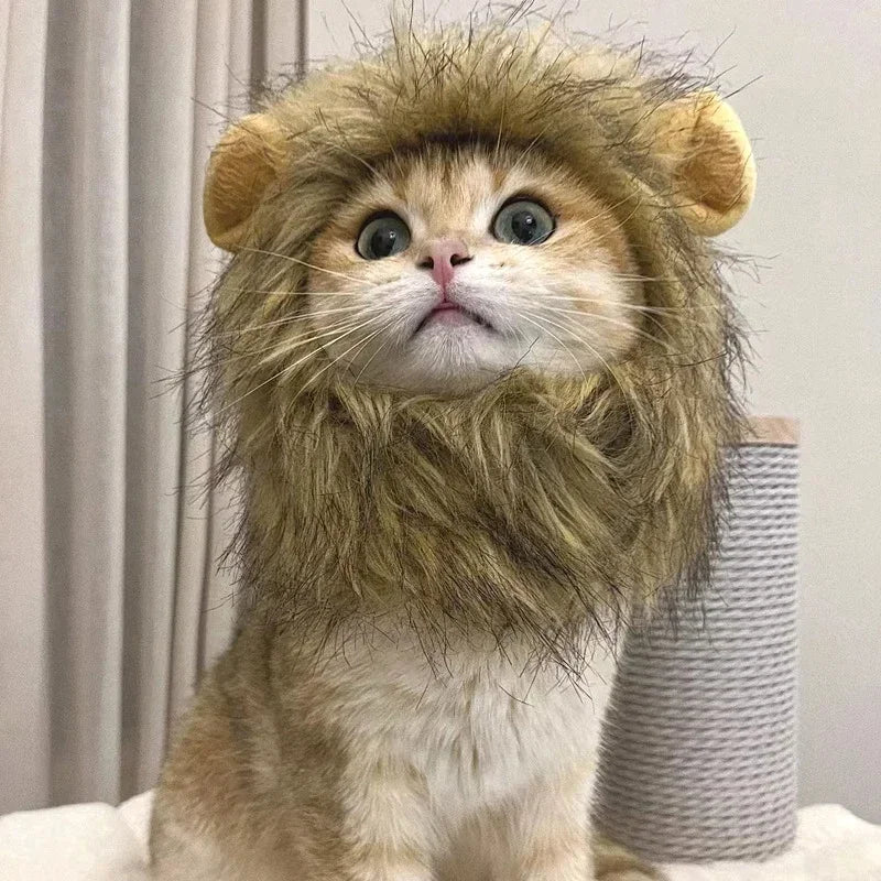 Lion Mane Cat Costume Hat