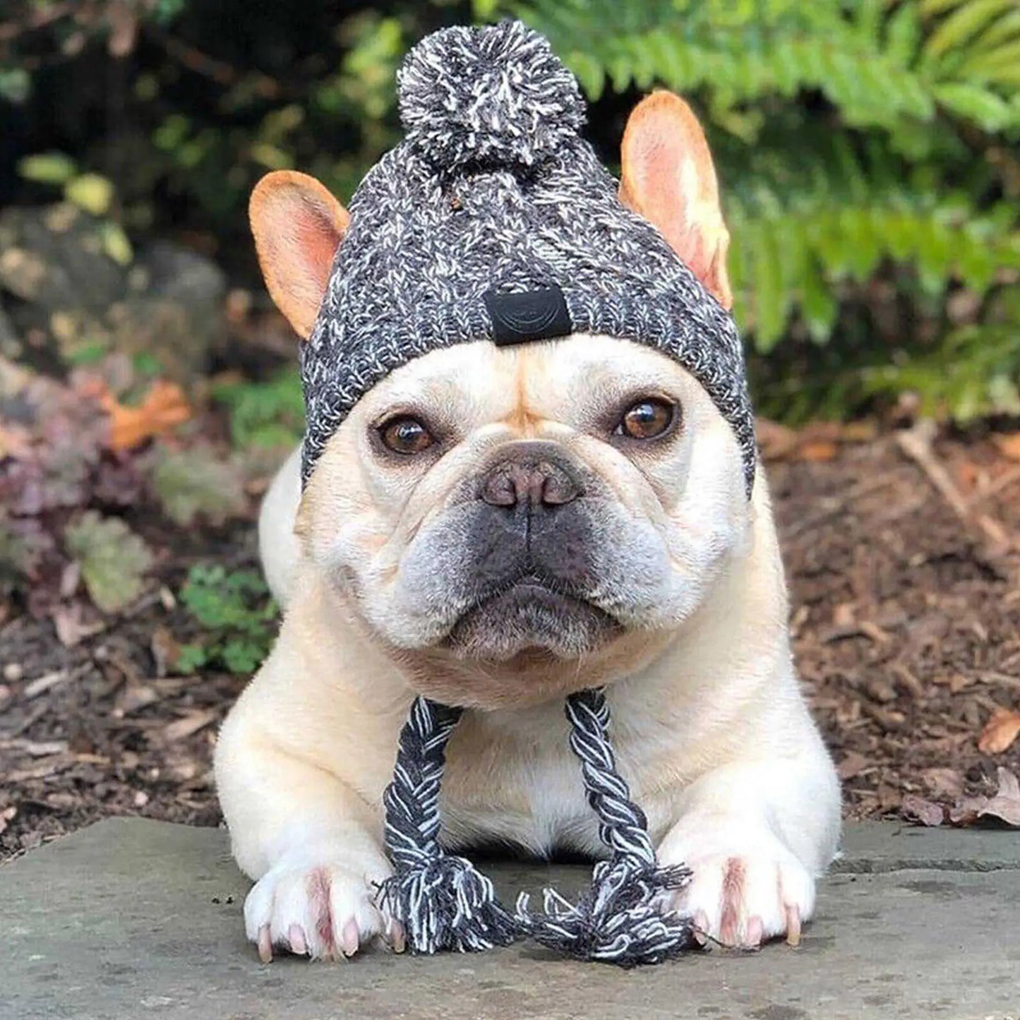 Cozy Paws Winter Dog Hat