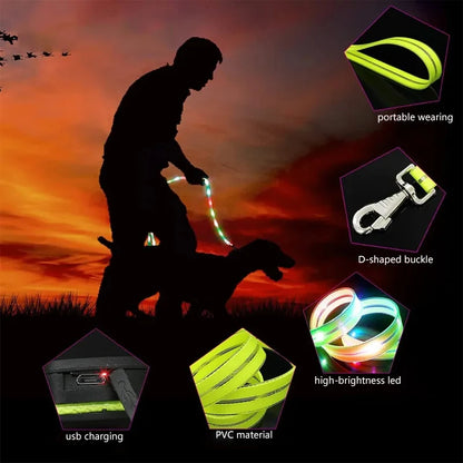 GlowSafe Durable  LED Dog Leash & Collar